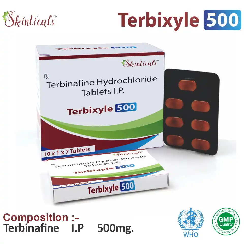 Terbinafine 500mg at the best price in PCD Pharma Franchise for Antifungal and Fungal Infection Treatment